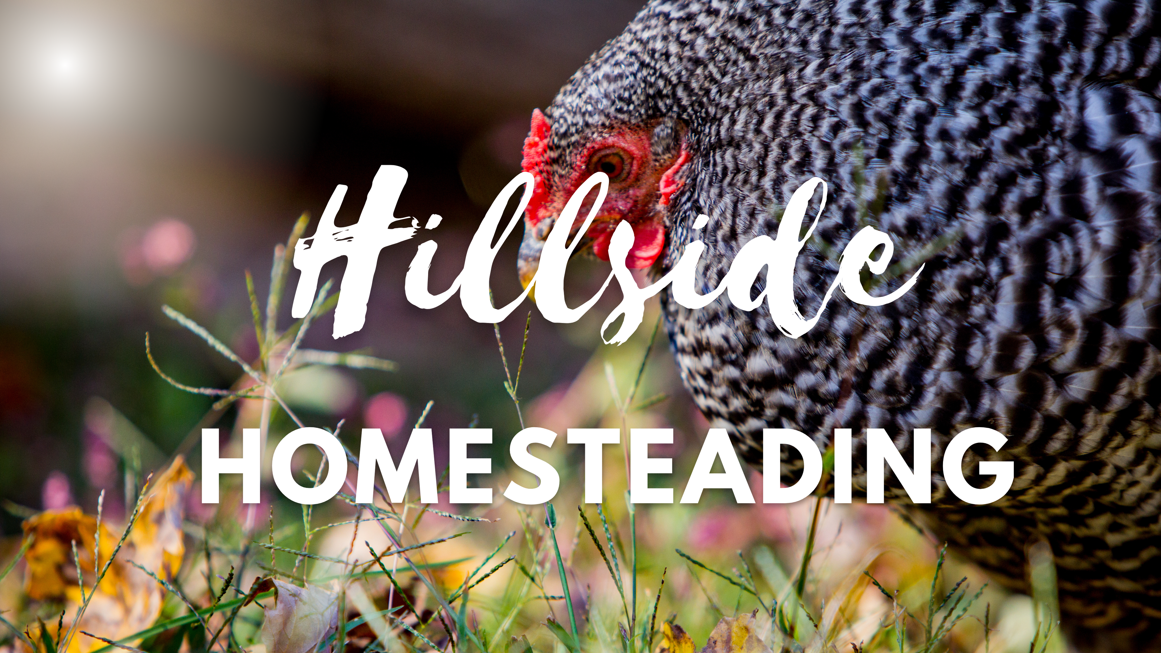 Hillside Homesteading